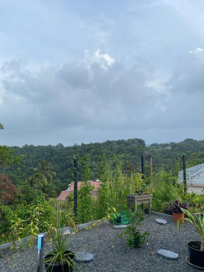 Villa Mahault 珀蒂堡 外观 照片